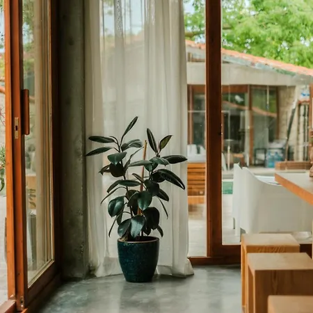 Warszawski * 알라카티